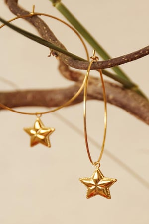 Earrings Put Star in my Hand Plata Acero inoxidable h5 Imagen4